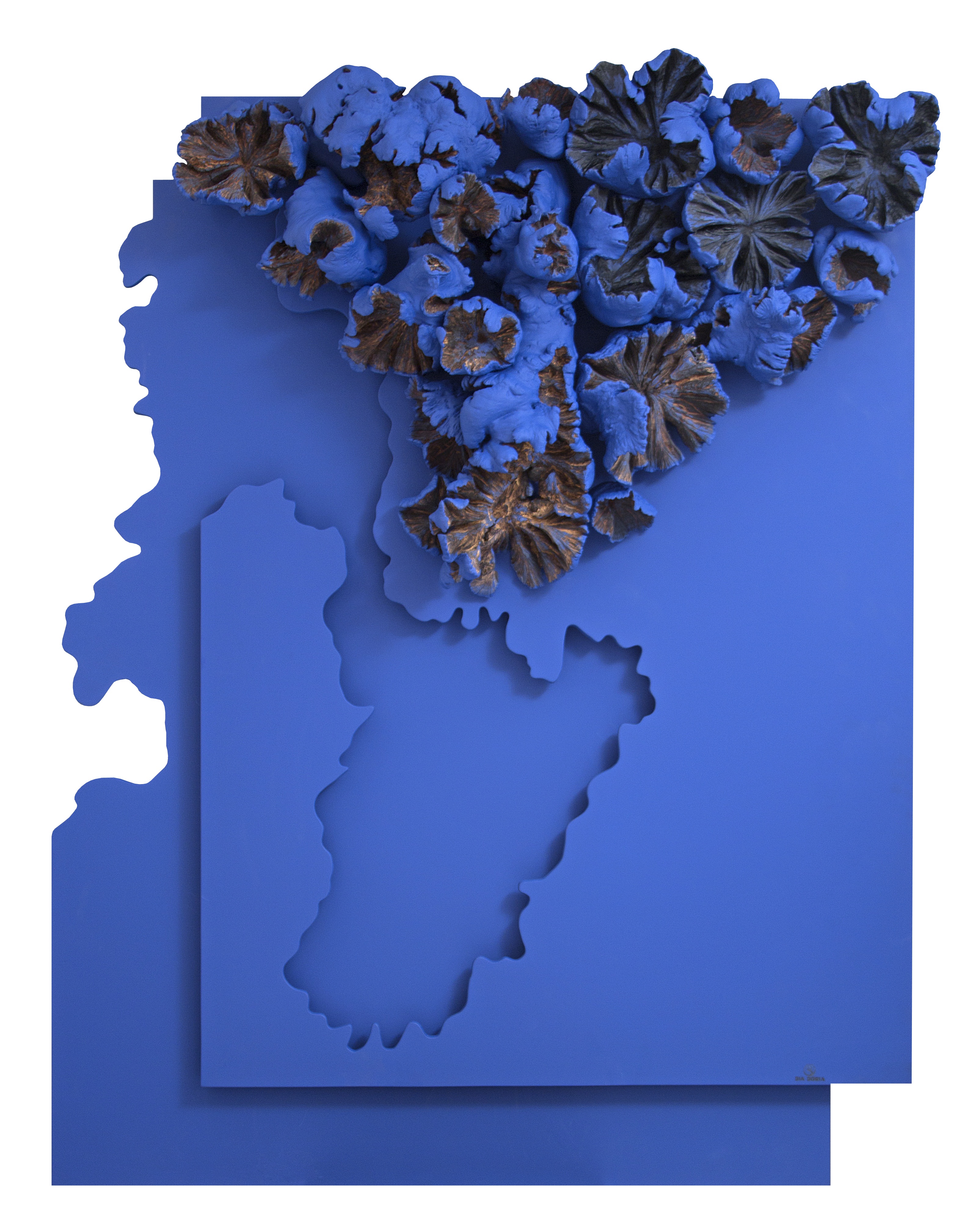 imagem_release_207470