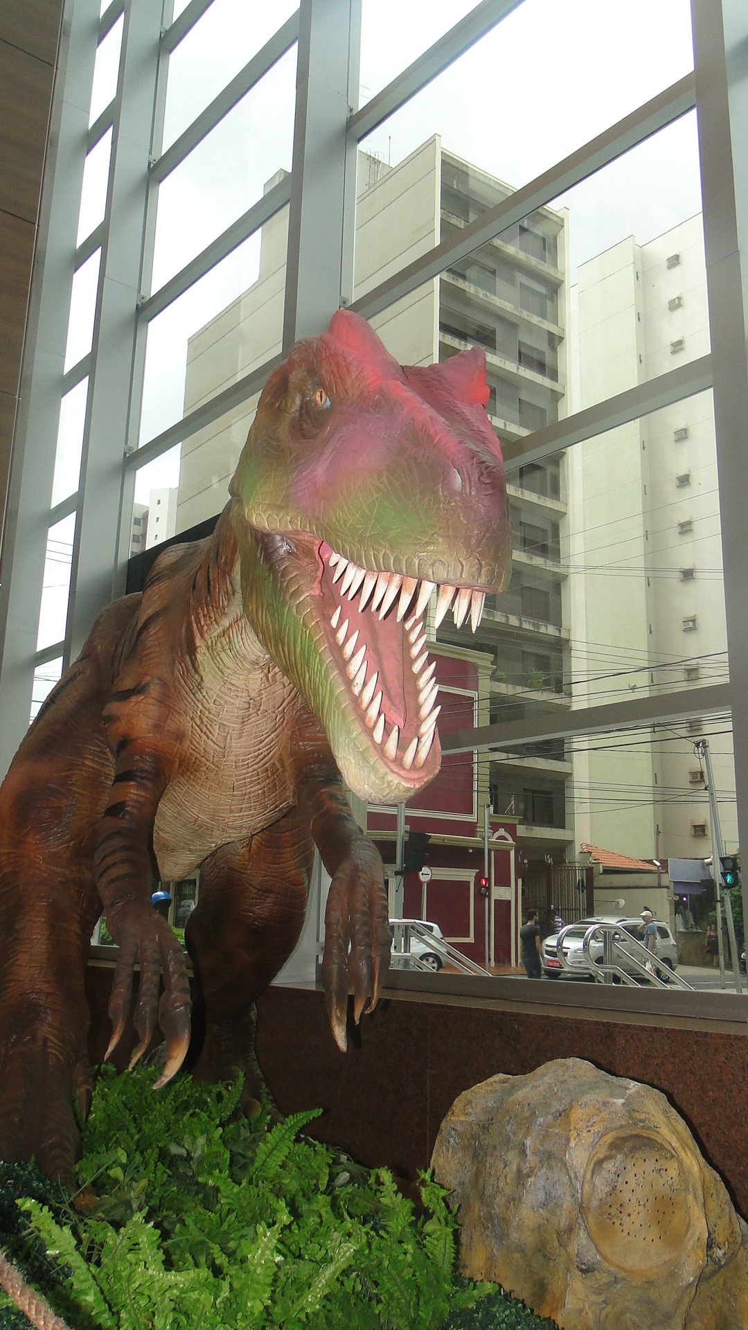 imagem_release_378554