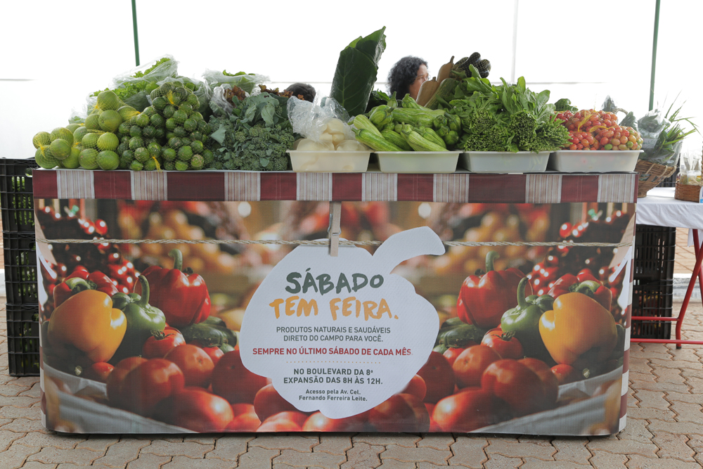 imagem_release_446801