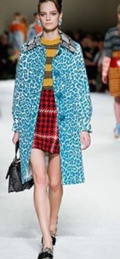 12048589_962054163832786_1263424336_n