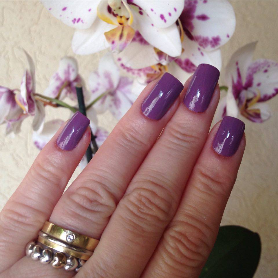 12395497_993074907397378_863692582_n