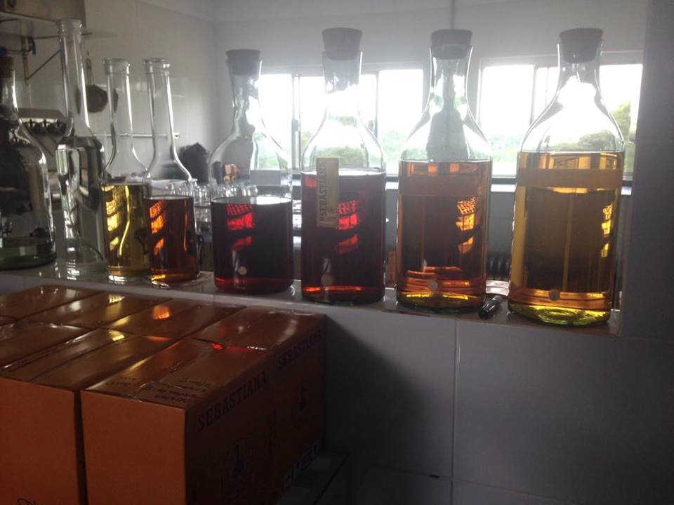 12625849_1015964495108419_2006387878_n