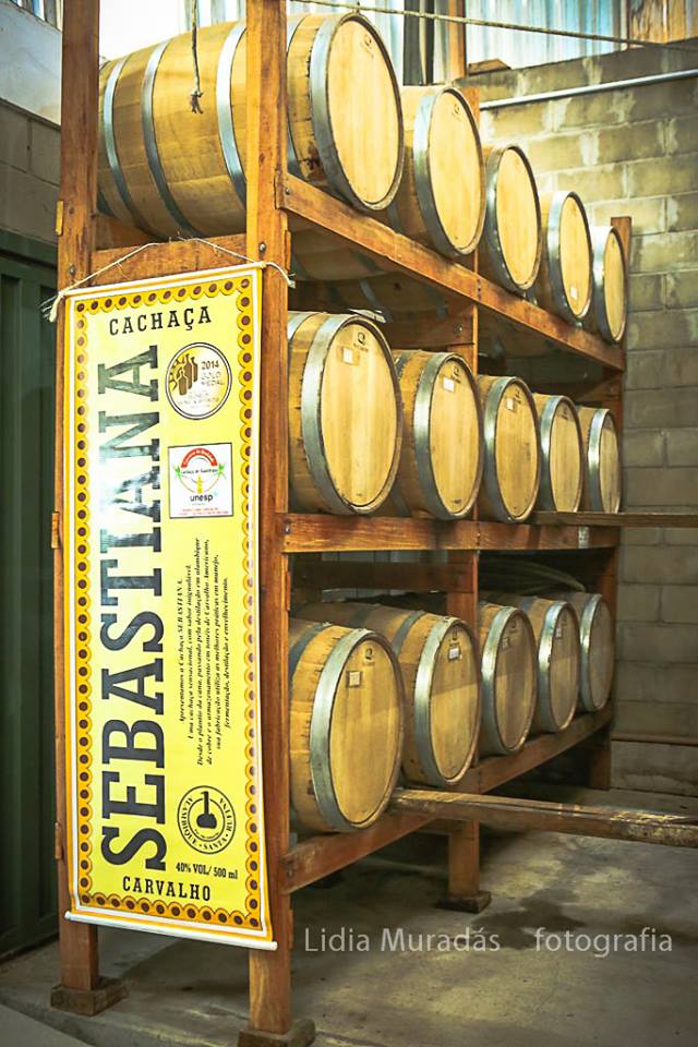 12644860_569557176541967_2534989261748334069_n