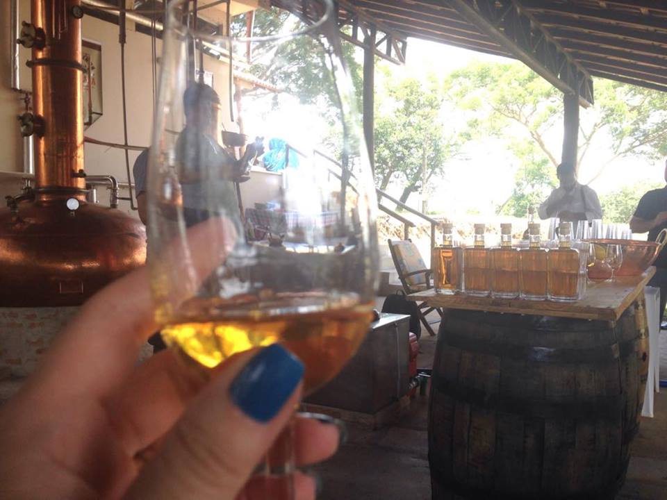 12648031_1015964448441757_1488248684_n