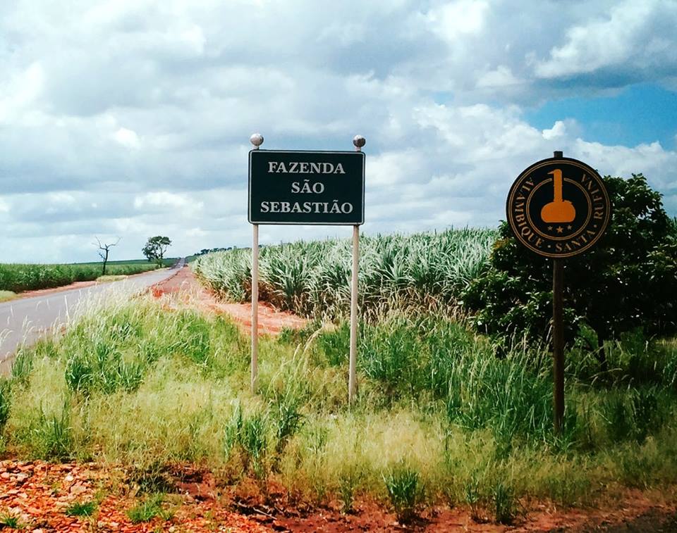 12651156_921821584599849_3701434422085695783_n