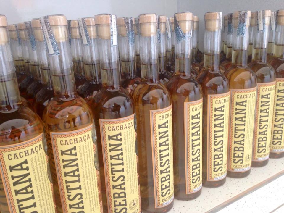 12674398_1015964695108399_338516508_n