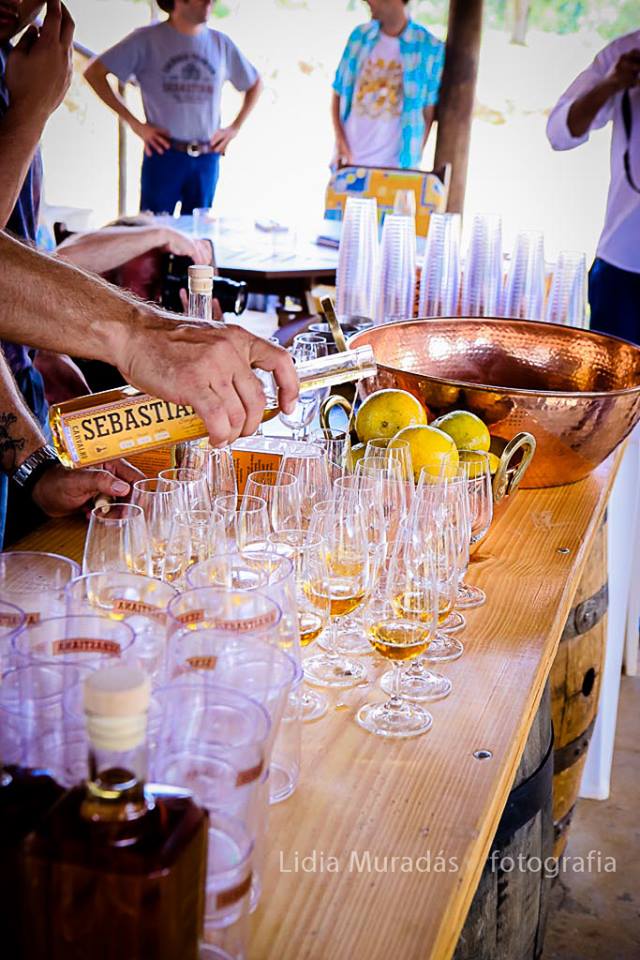 12687910_569556926541992_6228690278015174925_n