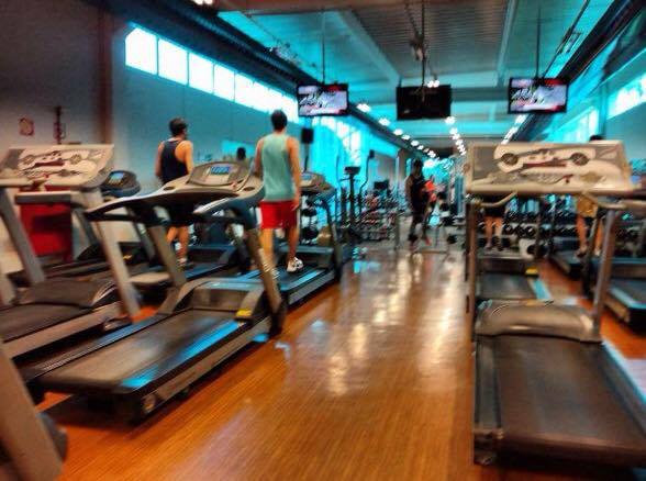 14518538_1173769282661272_1354994104_n